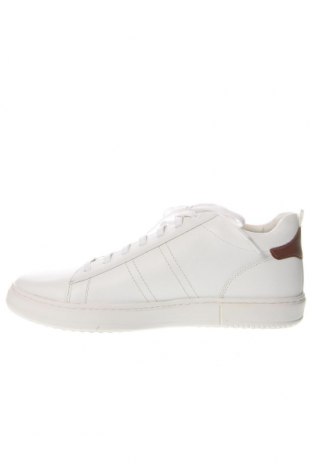 Ανδρικά παπούτσια Geox, Μέγεθος 46, Χρώμα Λευκό, Τιμή 97,94 €