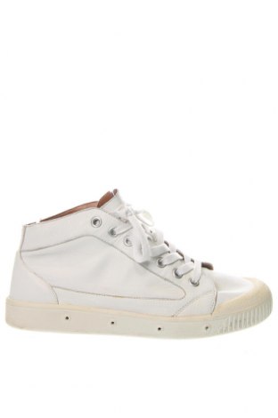 Ανδρικά παπούτσια Spring Court, Μέγεθος 43, Χρώμα Λευκό, Τιμή 42,06 €