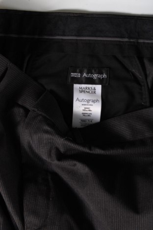Ανδρικό παντελόνι Autograph, Μέγεθος XL, Χρώμα Γκρί, Τιμή 14,91 €