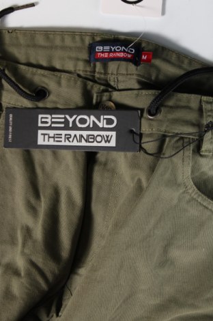 Ανδρικό παντελόνι Beyond The Rainbow, Μέγεθος M, Χρώμα Πράσινο, Τιμή 68,04 €
