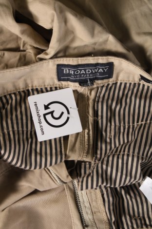 Ανδρικό παντελόνι Broadway, Μέγεθος M, Χρώμα  Μπέζ, Τιμή 4,84 €