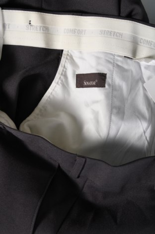 Ανδρικό παντελόνι Senator, Μέγεθος XL, Χρώμα Γκρί, Τιμή 4,49 €