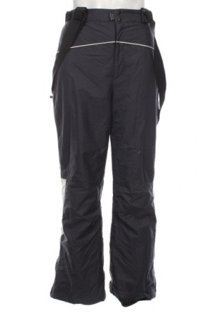 Ανδρικό παντελόνι για χειμερινά σπορ Cinnamon, Μέγεθος XL, Χρώμα Γκρί, Τιμή 11,47 €