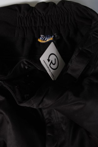 Ανδρικό παντελόνι για χειμερινά σπορ Crivit, Μέγεθος L, Χρώμα Μαύρο, Τιμή 16,24 €