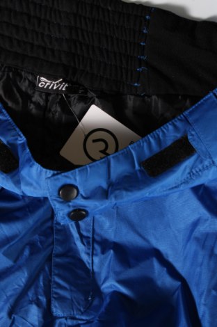 Ανδρικό παντελόνι για χειμερινά σπορ Crivit, Μέγεθος L, Χρώμα Μπλέ, Τιμή 46,39 €