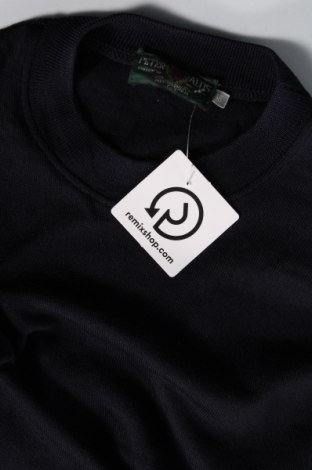 Ανδρικό πουλόβερ, Μέγεθος M, Χρώμα Μπλέ, Τιμή 3,51 €