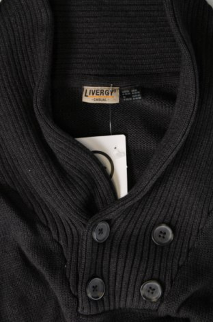 Ανδρικό πουλόβερ Livergy, Μέγεθος M, Χρώμα Γκρί, Τιμή 7,89 €