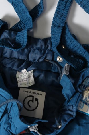 Ανδρικό παντελόνι για χειμερινά σπορ, Μέγεθος L, Χρώμα Μπλέ, Τιμή 34,75 €