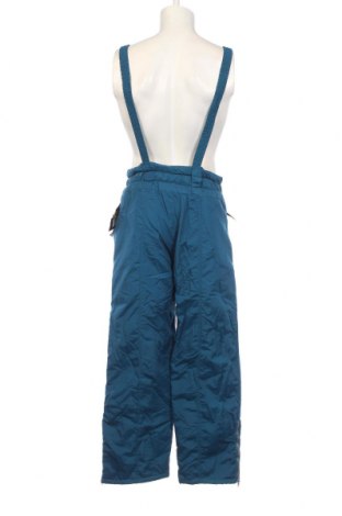Ανδρικό παντελόνι για χειμερινά σπορ, Μέγεθος L, Χρώμα Μπλέ, Τιμή 32,79 €
