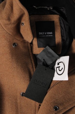 Ανδρικά παλτό Only & Sons, Μέγεθος L, Χρώμα Καφέ, Τιμή 19,51 €