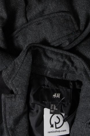 Pánske sako  H&M, Veľkosť L, Farba Sivá, Cena  6,99 €