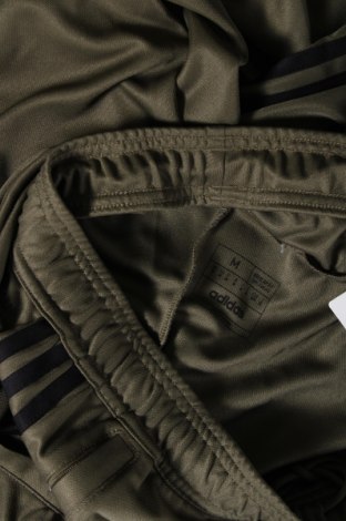 Ανδρικό αθλητικό παντελόνι Adidas, Μέγεθος M, Χρώμα Πράσινο, Τιμή 40,37 €