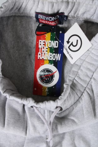Ανδρικό αθλητικό παντελόνι Beyond The Rainbow, Μέγεθος L, Χρώμα Γκρί, Τιμή 40,37 €