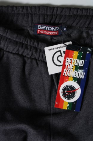 Ανδρικό αθλητικό παντελόνι Beyond The Rainbow, Μέγεθος M, Χρώμα Μπλέ, Τιμή 27,81 €
