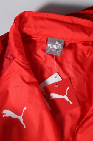 Ανδρικό αθλητικό μπουφάν PUMA, Μέγεθος XL, Χρώμα Κόκκινο, Τιμή 29,35 €