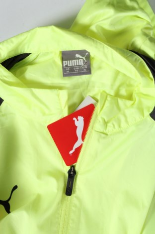 Ανδρικό αθλητικό μπουφάν PUMA, Μέγεθος XL, Χρώμα Πολύχρωμο, Τιμή 28,22 €