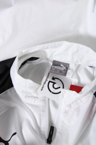 Ανδρικό αθλητικό μπουφάν PUMA, Μέγεθος L, Χρώμα Πολύχρωμο, Τιμή 25,96 €