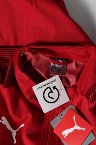 Herren Sportjacke PUMA, Größe S, Farbe Rot, Preis 23,71 €