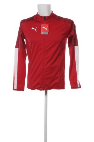 Ανδρικό αθλητικό μπουφάν PUMA, Μέγεθος S, Χρώμα Κόκκινο, Τιμή 23,71 €