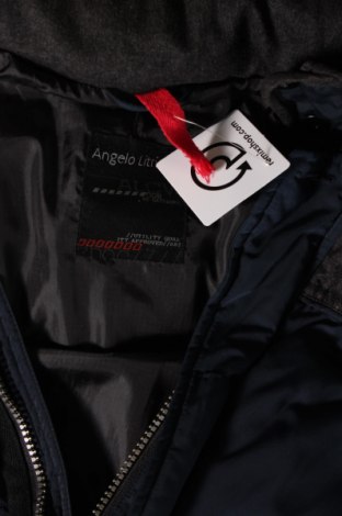 Ανδρικό μπουφάν Angelo Litrico, Μέγεθος L, Χρώμα Πολύχρωμο, Τιμή 10,76 €