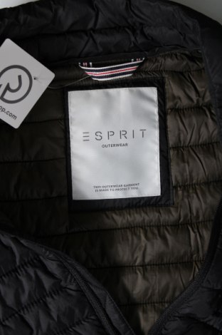 Pánská bunda  Esprit, Velikost M, Barva Černá, Cena  781,00 Kč