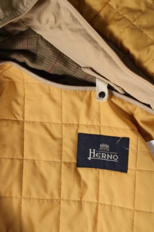 Ανδρικό μπουφάν Herno, Μέγεθος XL, Χρώμα  Μπέζ, Τιμή 33,78 €
