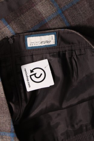 Φούστα Esprit, Μέγεθος L, Χρώμα Πολύχρωμο, Τιμή 5,38 €