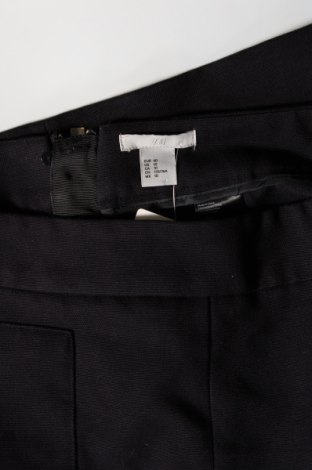 Φούστα H&M, Μέγεθος L, Χρώμα Μπλέ, Τιμή 2,69 €
