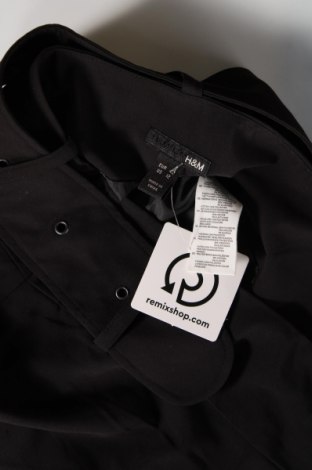 Rock H&M, Größe L, Farbe Schwarz, Preis 3,83 €