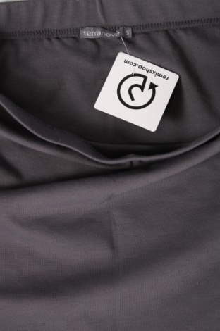 Φούστα Terranova, Μέγεθος S, Χρώμα Γκρί, Τιμή 14,84 €
