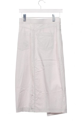 Φούστα Zara, Μέγεθος XS, Χρώμα Γκρί, Τιμή 12,37 €