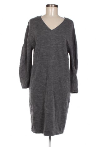 Kleid Filippa K, Größe L, Farbe Grau, Preis 35,80 €