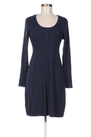 Φόρεμα Fransa, Μέγεθος L, Χρώμα Μπλέ, Τιμή 8,41 €