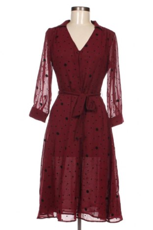 Kleid Maison 123, Größe XS, Farbe Mehrfarbig, Preis € 41,39
