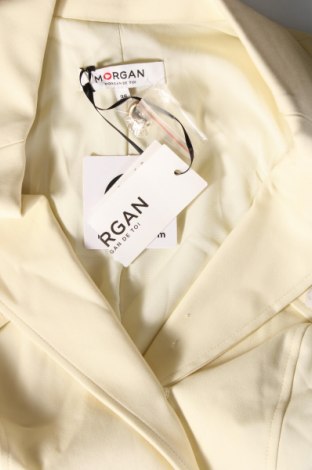 Kleid Morgan, Größe S, Farbe Gelb, Preis € 68,04