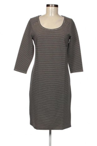 Kleid Noppies, Größe S, Farbe Mehrfarbig, Preis € 6,84