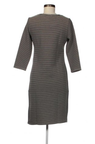Kleid Noppies, Größe S, Farbe Mehrfarbig, Preis 6,84 €