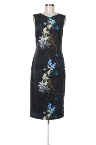 Kleid Ted Baker, Größe L, Farbe Mehrfarbig, Preis € 75,09