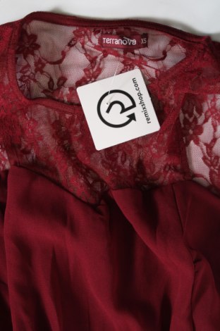 Φόρεμα Terranova, Μέγεθος XS, Χρώμα Κόκκινο, Τιμή 16,62 €