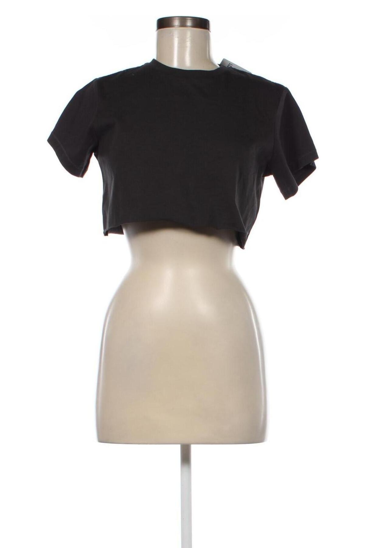 Damen Shirt AllSaints, Größe S, Farbe Schwarz, Preis 77,32 €
