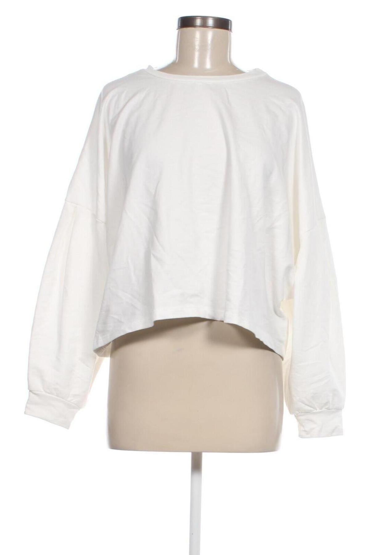 Damen Shirt Answear, Größe S, Farbe Weiß, Preis € 11,99