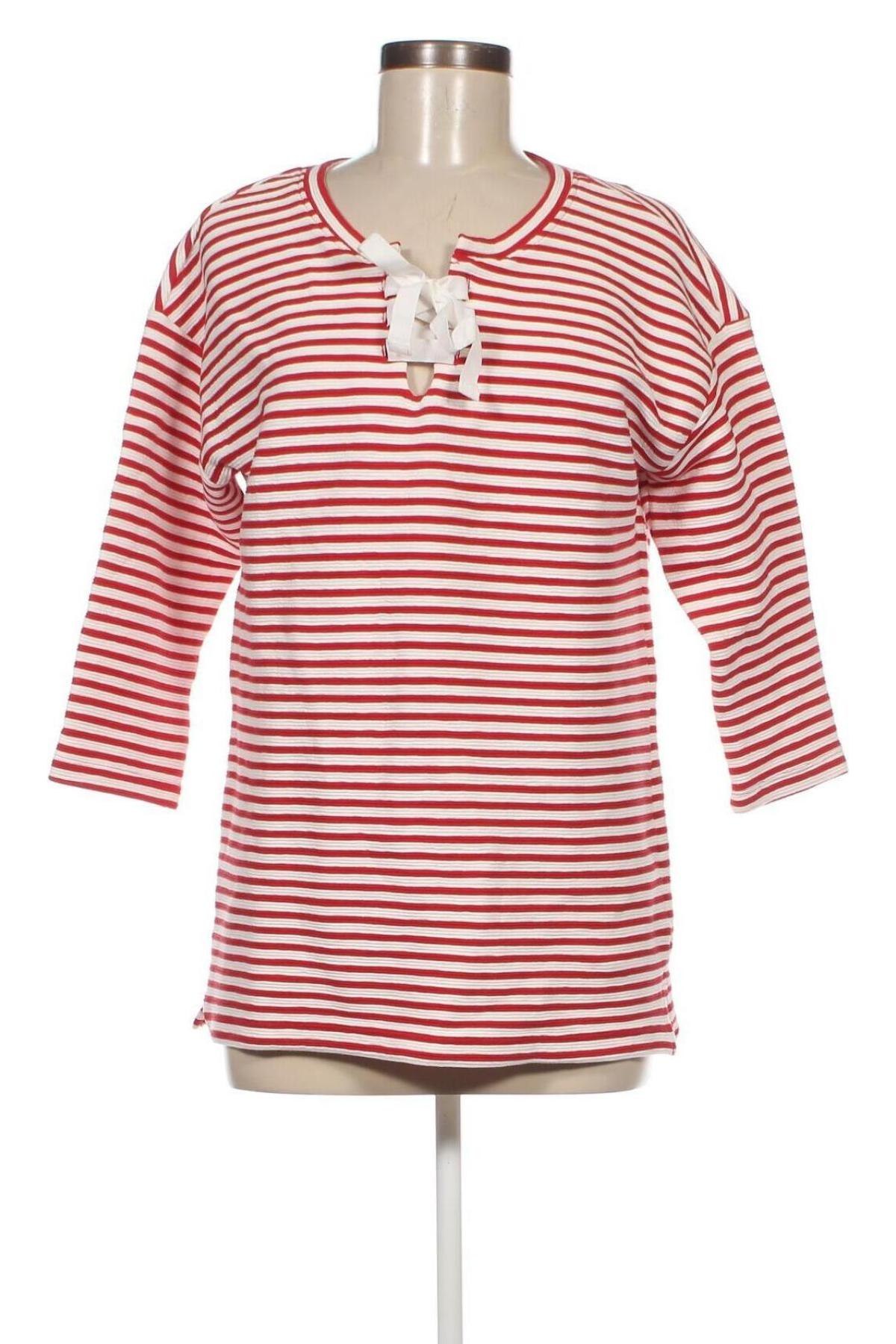 Γυναικεία μπλούζα Bexleys, Μέγεθος S, Χρώμα Πολύχρωμο, Τιμή 3,12 €