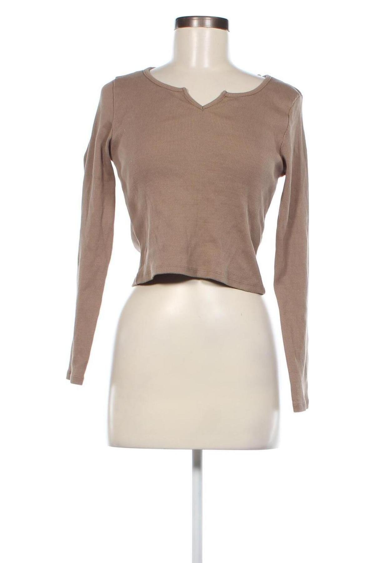 Damen Shirt Chicoree, Größe M, Farbe Beige, Preis € 2,91