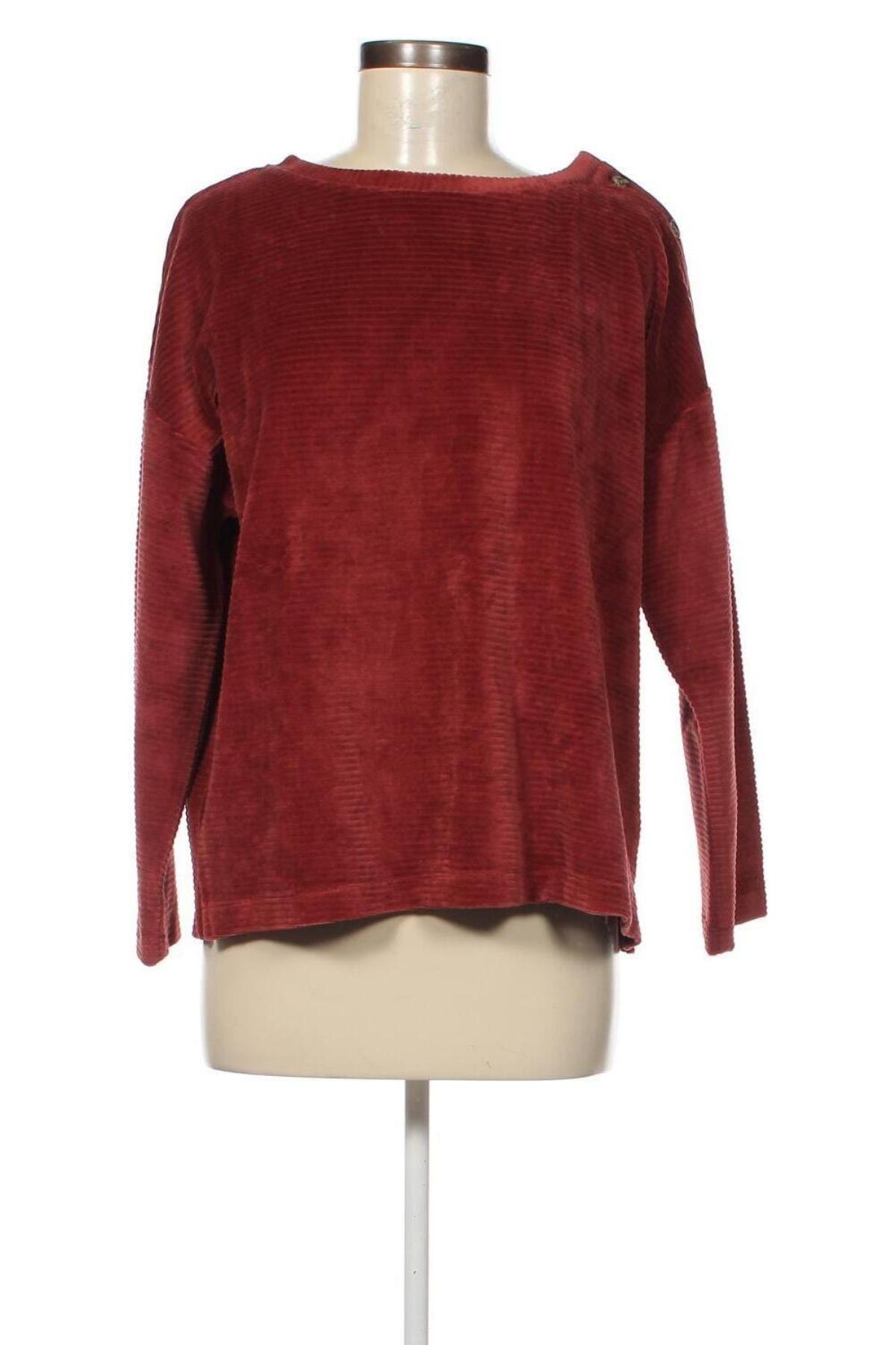 Γυναικεία μπλούζα Cyrillus, Μέγεθος L, Χρώμα Πορτοκαλί, Τιμή 13,15 €