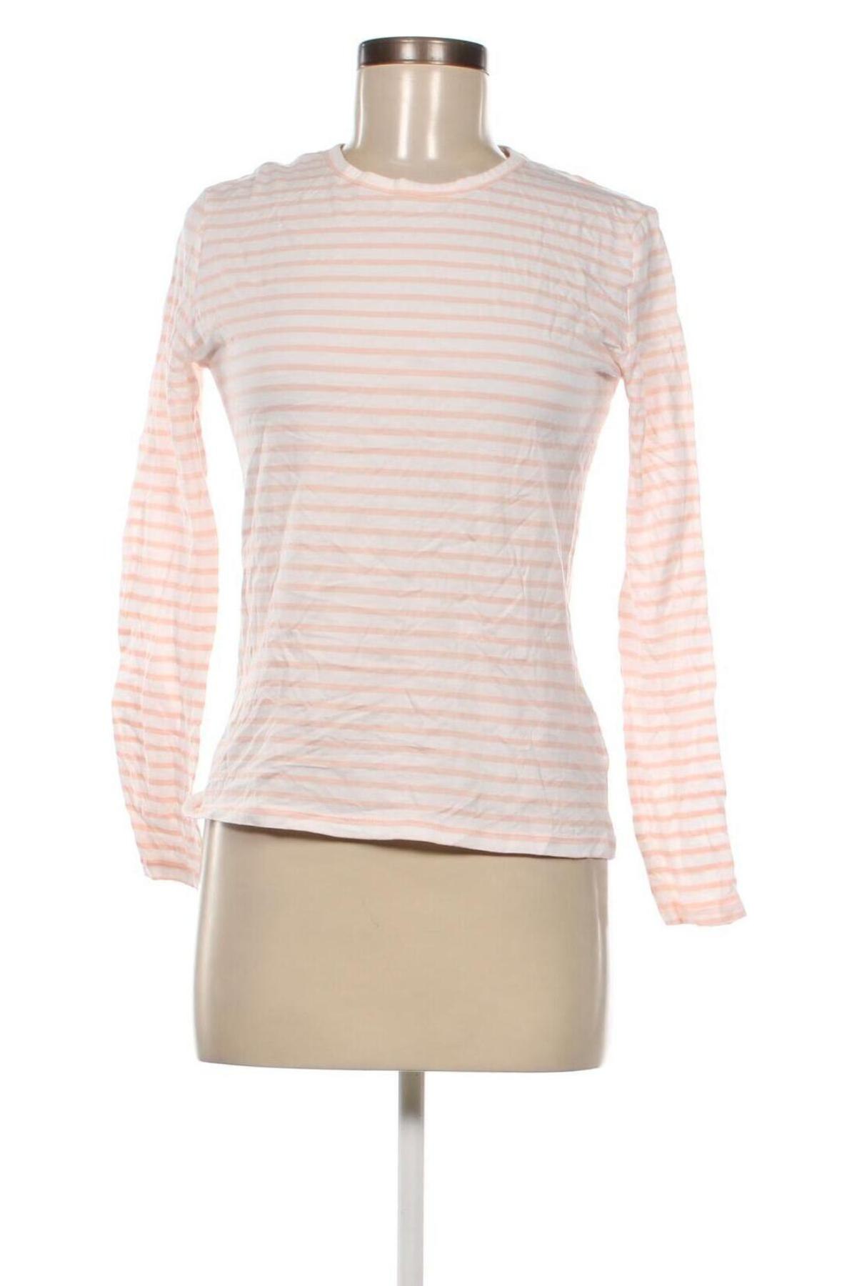Γυναικεία μπλούζα Essentials by Tchibo, Μέγεθος XS, Χρώμα Πολύχρωμο, Τιμή 2,47 €