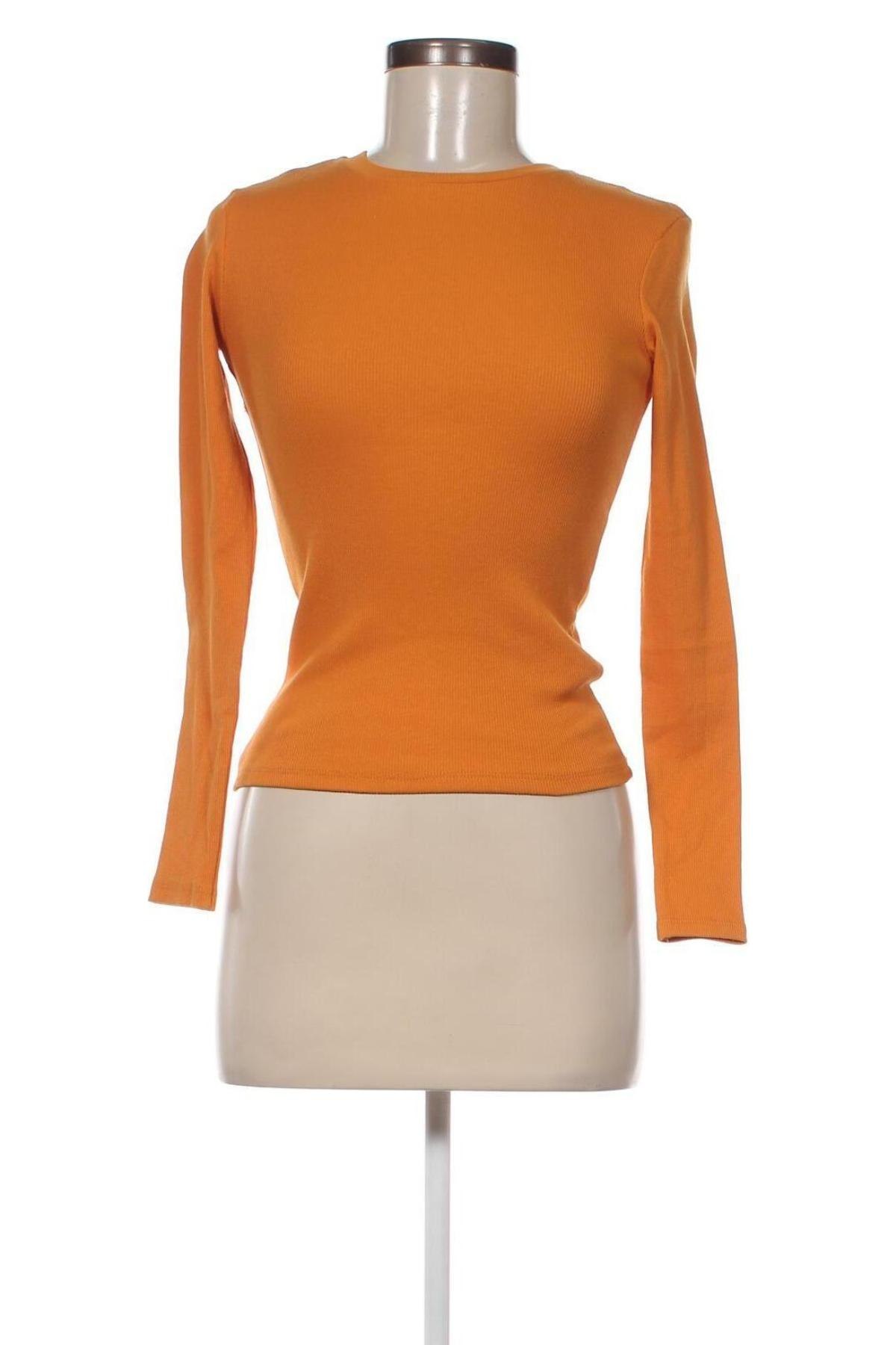 Γυναικεία μπλούζα Tally Weijl, Μέγεθος XS, Χρώμα Πορτοκαλί, Τιμή 4,95 €