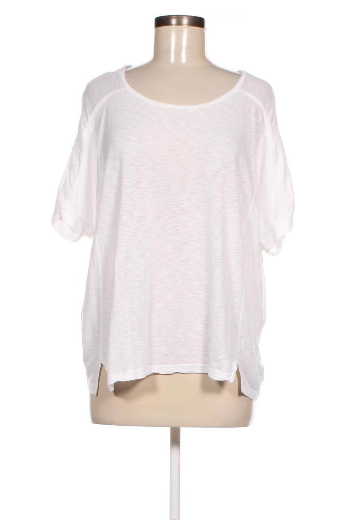 Γυναικεία μπλούζα Velvet by Graham & Spencer, Μέγεθος S, Χρώμα Λευκό, Τιμή 7,36 €