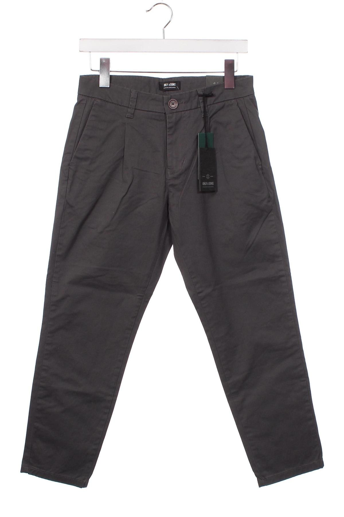 Ανδρικό παντελόνι Only & Sons, Μέγεθος S, Χρώμα Γκρί, Τιμή 10,43 €
