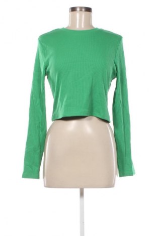 Damen Shirt Anko, Größe XL, Farbe Grün, Preis € 5,99