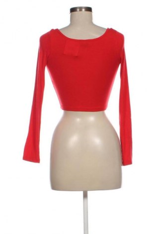 Damen Shirt Bershka, Größe S, Farbe Rot, Preis € 6,75